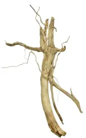 korzen-ancient-root-do-akwarium-90x50x20cm-1157