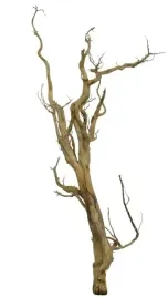 korzen-ancient-root-do-akwarium-80x35x20cm-1146