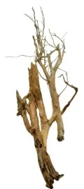 korzen-ancient-root-do-akwarium-110x35x10cm-1149