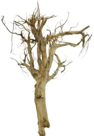 korzen-ancient-root-do-akwarium-85x75x25cm-1172