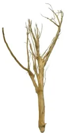 korzen-ancient-root-do-akwarium-70x25x25cm-1163
