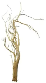 korzen-ancient-root-do-akwarium-85x45x10cm-1160