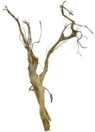 korzen-ancient-root-do-akwarium-60x30x20cm-1156