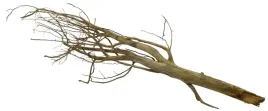 korzen-ancient-root-do-akwarium-150x40x20cm-1137