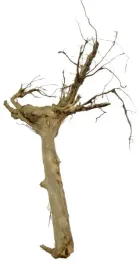 korzen-ancient-root-do-akwarium-90x70x20cm-1135