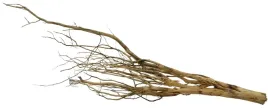korzen-ancient-root-do-akwarium-150x40x10cm-1108