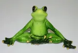 figurka-zaba-185x15x5cm-stan-nowy