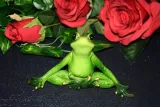 figurka-zaba-185x15x5cm-material-wykonania-tworzywo-sztuczne