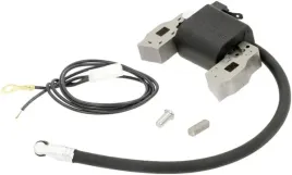 cewka-zaplonowa-briggs-and-stratton-397358