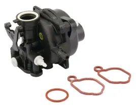 gaznik-591160-briggs-and-stratton