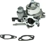 gaznik-595652-briggs-and-stratton-marka-strong