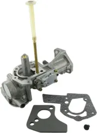 gaznik-498298-briggs-and-stratton