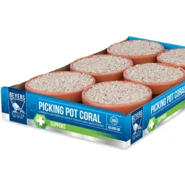 kostki-mineralne-dla-golebi-beyers-picking-pot-coral-5-1