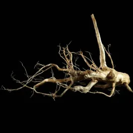 korzen-ancient-root-do-akwarium-b15-70x77x44-cm