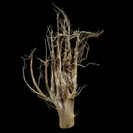 korzen-ancient-root-do-akwarium-b4-90x45x25-cm