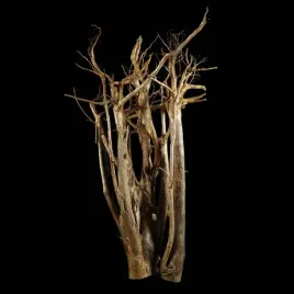 korzen-ancient-root-do-akwarium-b1-145x90x78-cm