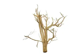 korzen-ancient-root-do-akwarium-115x100x30cm-1086