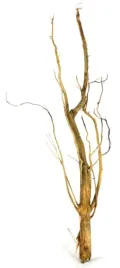 korzen-ancient-root-do-akwarium-90x30x10cm-1030