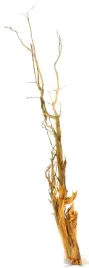 korzen-ancient-root-do-akwarium-120x20x10cm-1029