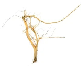 korzen-ancient-root-do-akwarium-90x100x40cm-1027