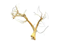 korzen-ancient-root-do-akwarium-90x70x20cm-1078