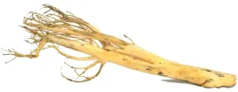 korzen-ancient-root-do-akwarium-80x25x25cm-1039