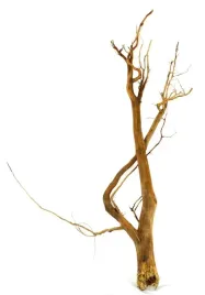 korzen-ancient-root-do-akwarium-90x40x15cm-1024