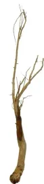 korzen-ancient-root-do-akwarium-105x30x15cm-1200