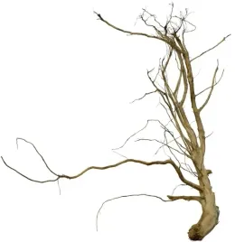korzen-ancient-root-do-akwarium-120x100x25cm-1176