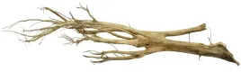 korzen-ancient-root-do-akwarium-115x30x20cm-1152