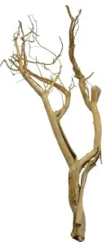 korzen-ancient-root-do-akwarium-110x40x40cm-1151