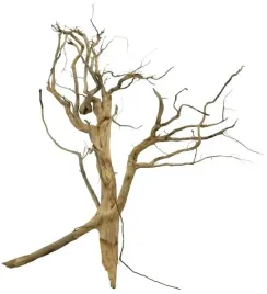 korzen-ancient-root-do-akwarium-85x70x20cm-1140