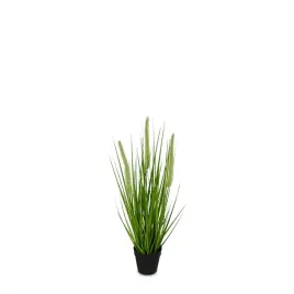 trawa-w-doniczce-54cm