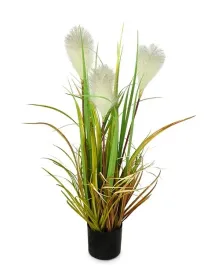 trawa-w-doniczce-miskant-80cm