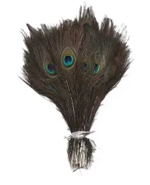 piora-pawie-piora-pawia-25-30cm-10szt