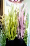 trawa-w-doniczce-55cm-kod-producenta-t-072