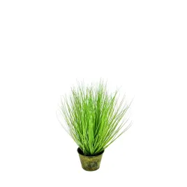 trawa-w-doniczce-50cm