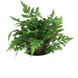 roslina-sztuczna-w-doniczce-25cm