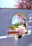 escada-especially-edp-50ml-oryginal-stan-nowy