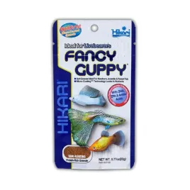 hikari-fancy-guppy-22g