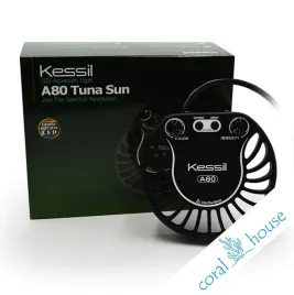 kessil-a80-tuna-sun