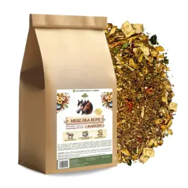 mesz-dla-koni-samfarm-classic-3kg-klasyczny-bez-melasy