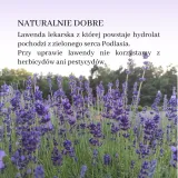 hydrolat-lawendowy-100ml-typ-skory-alergiczna-dojrzala-mieszana-naczynkowa-normalna-problematyczna-sucha-tlusta-wrazliwa-do-wszystkich-typow-skory