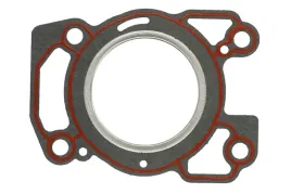 parsun-uszczelka-glowicy-cylindrow-f2-6-04000001