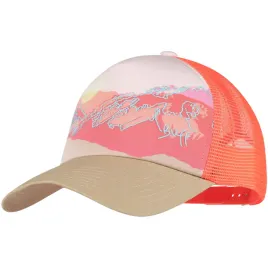 buff-trucker-cap-czapka-z-siatka-enia-multi