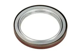 victor-reinz-simering-tyl-walu-fiat-23jtd-ducato-03-83x113x13