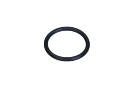 oe-psa-uszczelka-termostatu-citroen-peugeot-14-16-b-06-