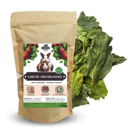 samfarm-liscie-truskawki-dla-krolikow-i-gryzoni-100g
