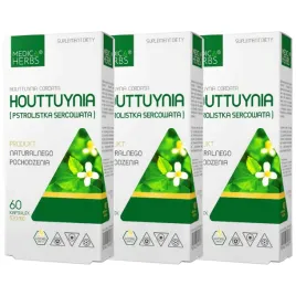 medica-herbs-houttuynia-520mg-pstrolistka-borelioza-odpornosc-180-kaps