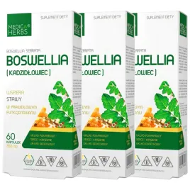 boswellia-serrata-350mg-stawy-kosci-uklad-ruchu-kadzidlowiec-indyjski-3x60k